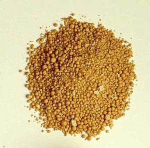 Read more about the article Selen jača imunitet