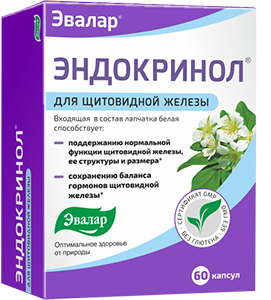 endokrinol_60