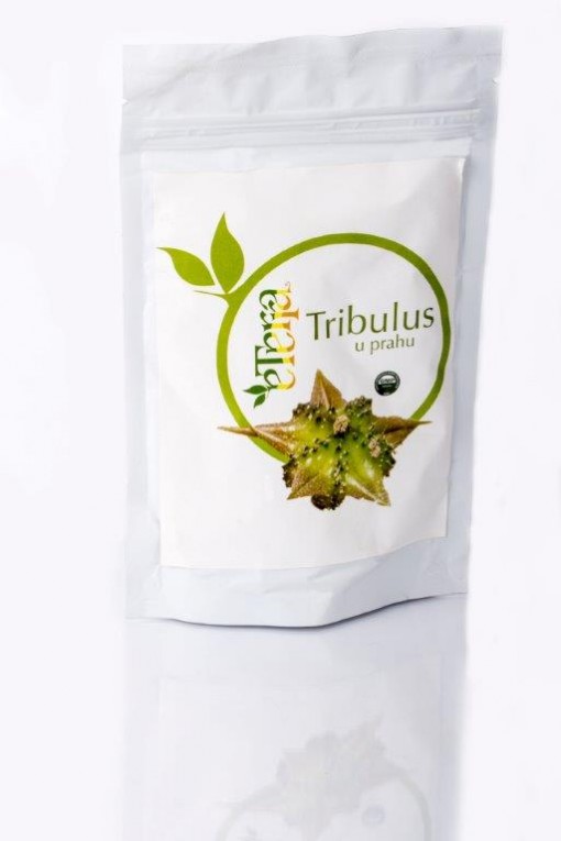 tribulus-prah-510x765